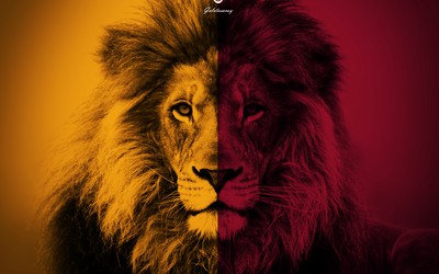 猫头鹰体育快讯-伊尔迪丝·森拉尔又创纪录之夜