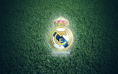 猫头鹰体育动态-凯恩凌空抽射这球能进年度十佳